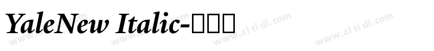 YaleNew Italic字体转换